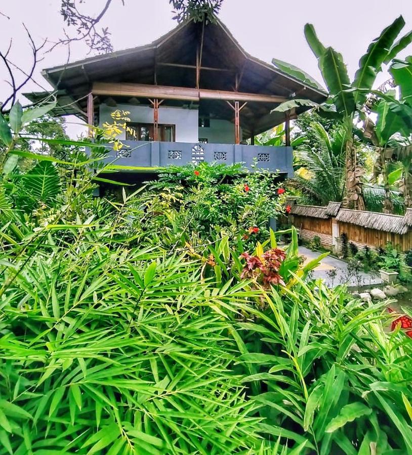 Sumatra Orangutan Discovery Villa Bukit Lawang Dış mekan fotoğraf