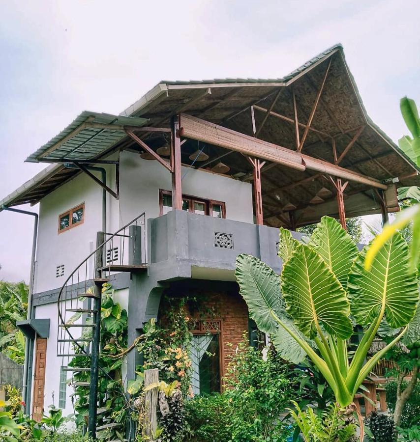 Sumatra Orangutan Discovery Villa Bukit Lawang Dış mekan fotoğraf