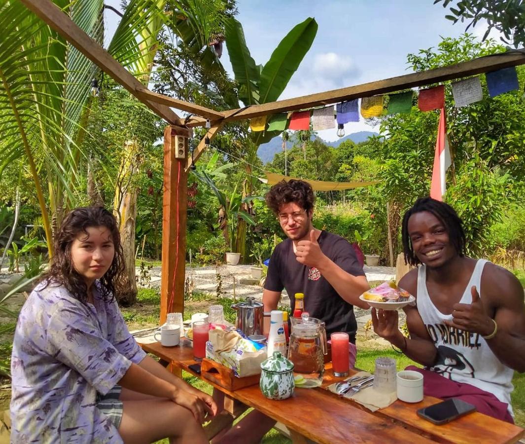 Sumatra Orangutan Discovery Villa Bukit Lawang Dış mekan fotoğraf