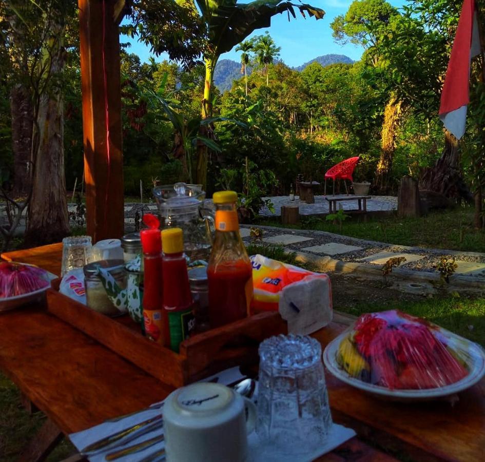 Sumatra Orangutan Discovery Villa Bukit Lawang Dış mekan fotoğraf