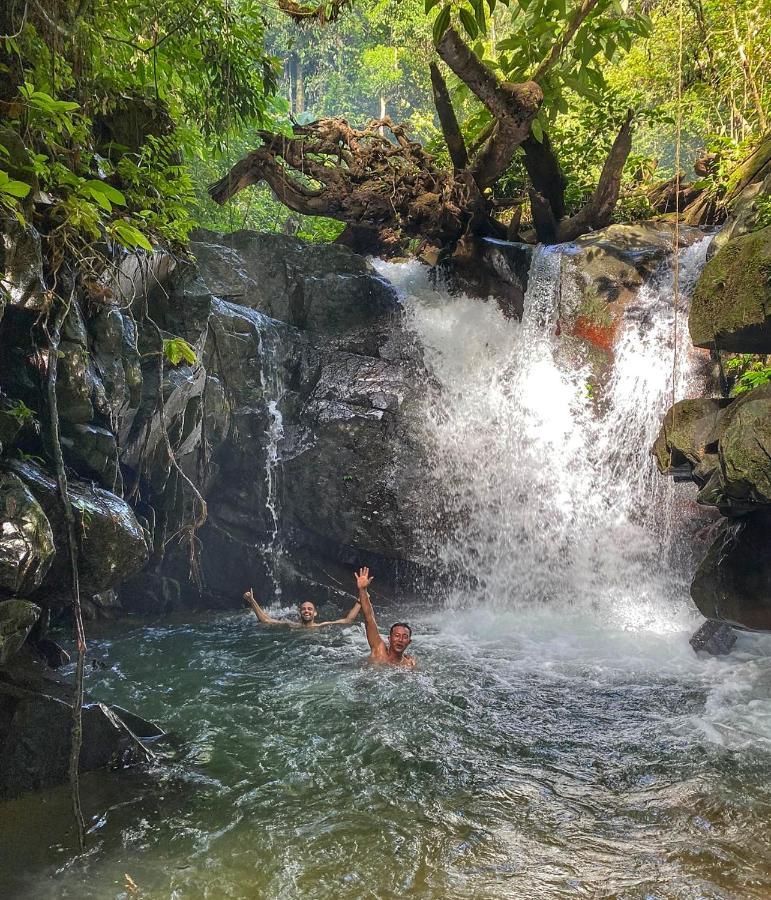 Sumatra Orangutan Discovery Villa Bukit Lawang Dış mekan fotoğraf