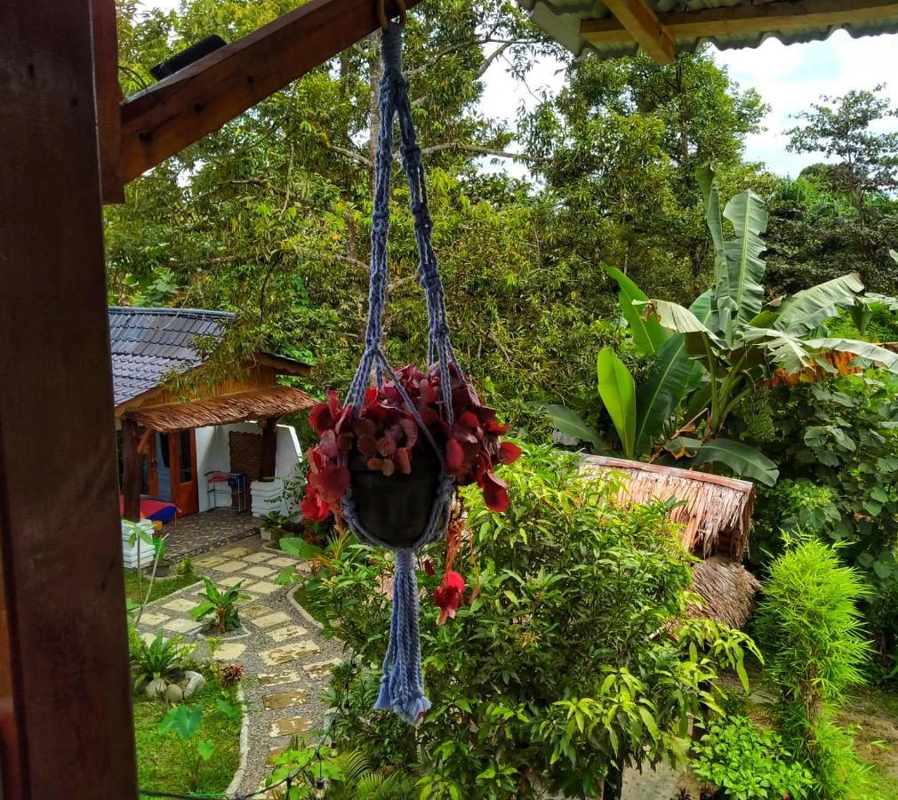 Sumatra Orangutan Discovery Villa Bukit Lawang Dış mekan fotoğraf