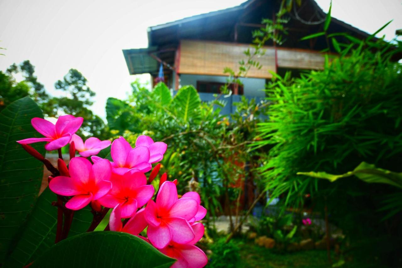 Sumatra Orangutan Discovery Villa Bukit Lawang Dış mekan fotoğraf