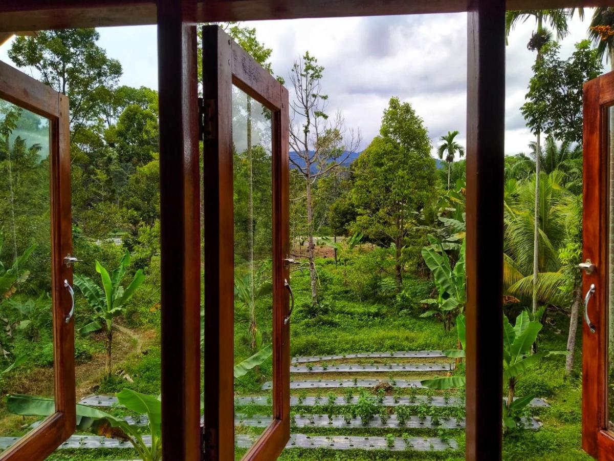 Sumatra Orangutan Discovery Villa Bukit Lawang Dış mekan fotoğraf