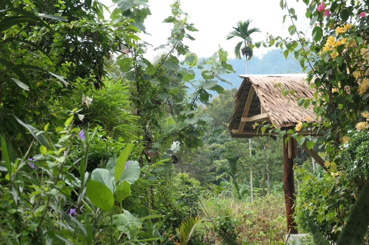 Sumatra Orangutan Discovery Villa Bukit Lawang Dış mekan fotoğraf