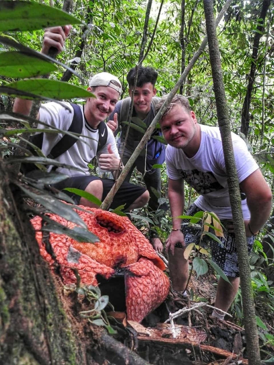Sumatra Orangutan Discovery Villa Bukit Lawang Dış mekan fotoğraf