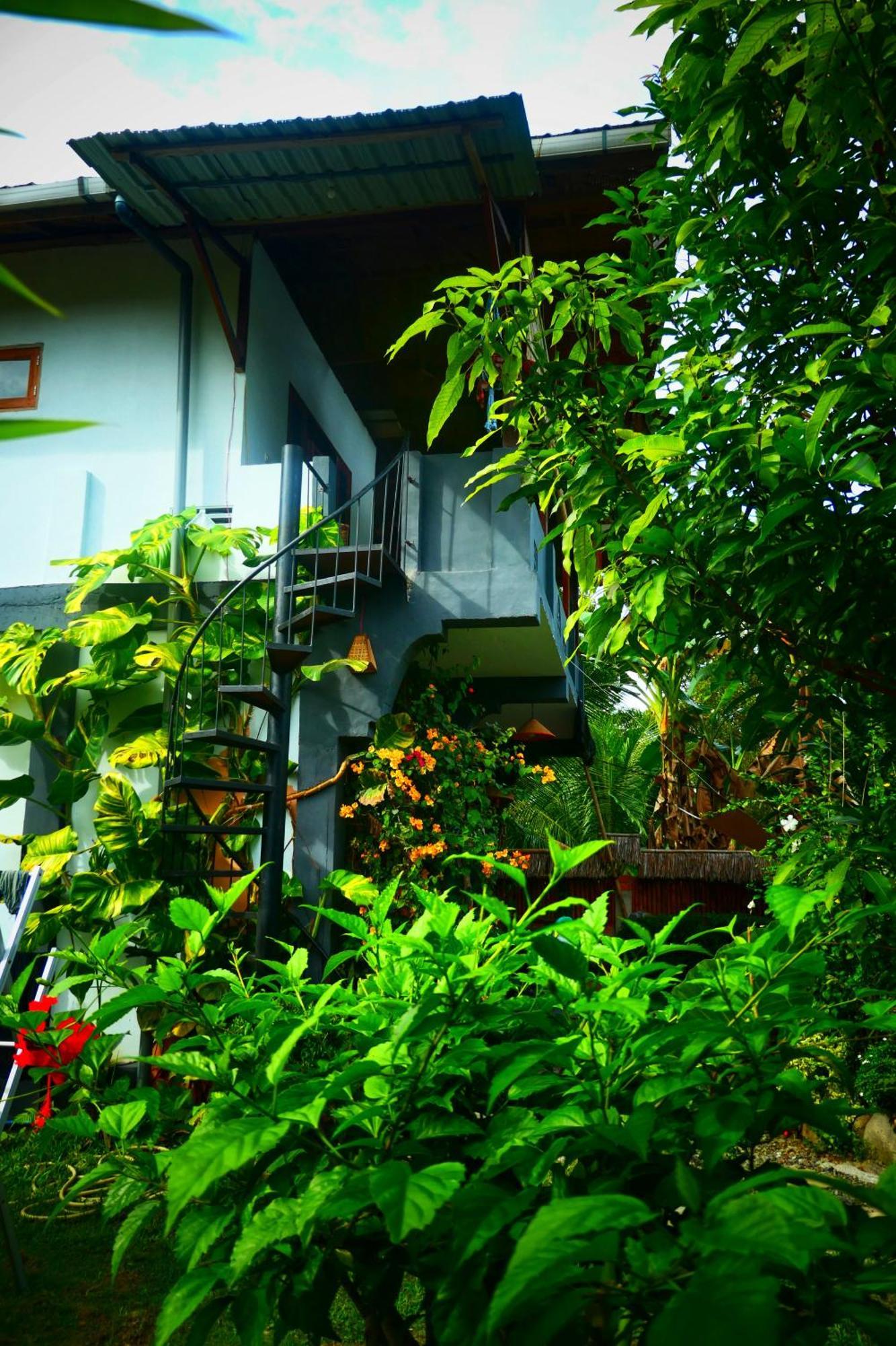 Sumatra Orangutan Discovery Villa Bukit Lawang Oda fotoğraf